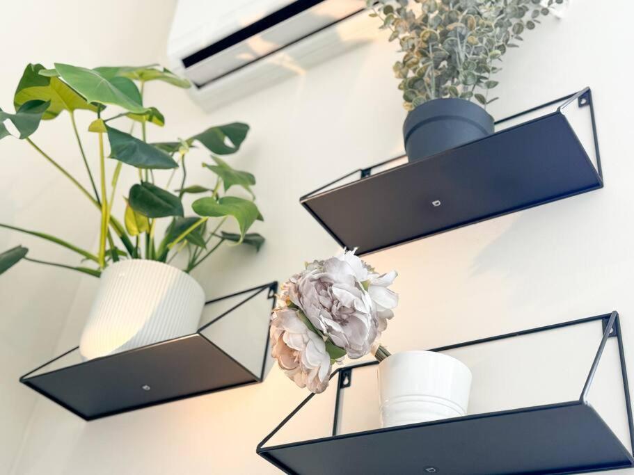 Cozy Studio In The Heart Of Chueca Madrid Exteriér fotografie